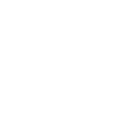 Sennheiser-1